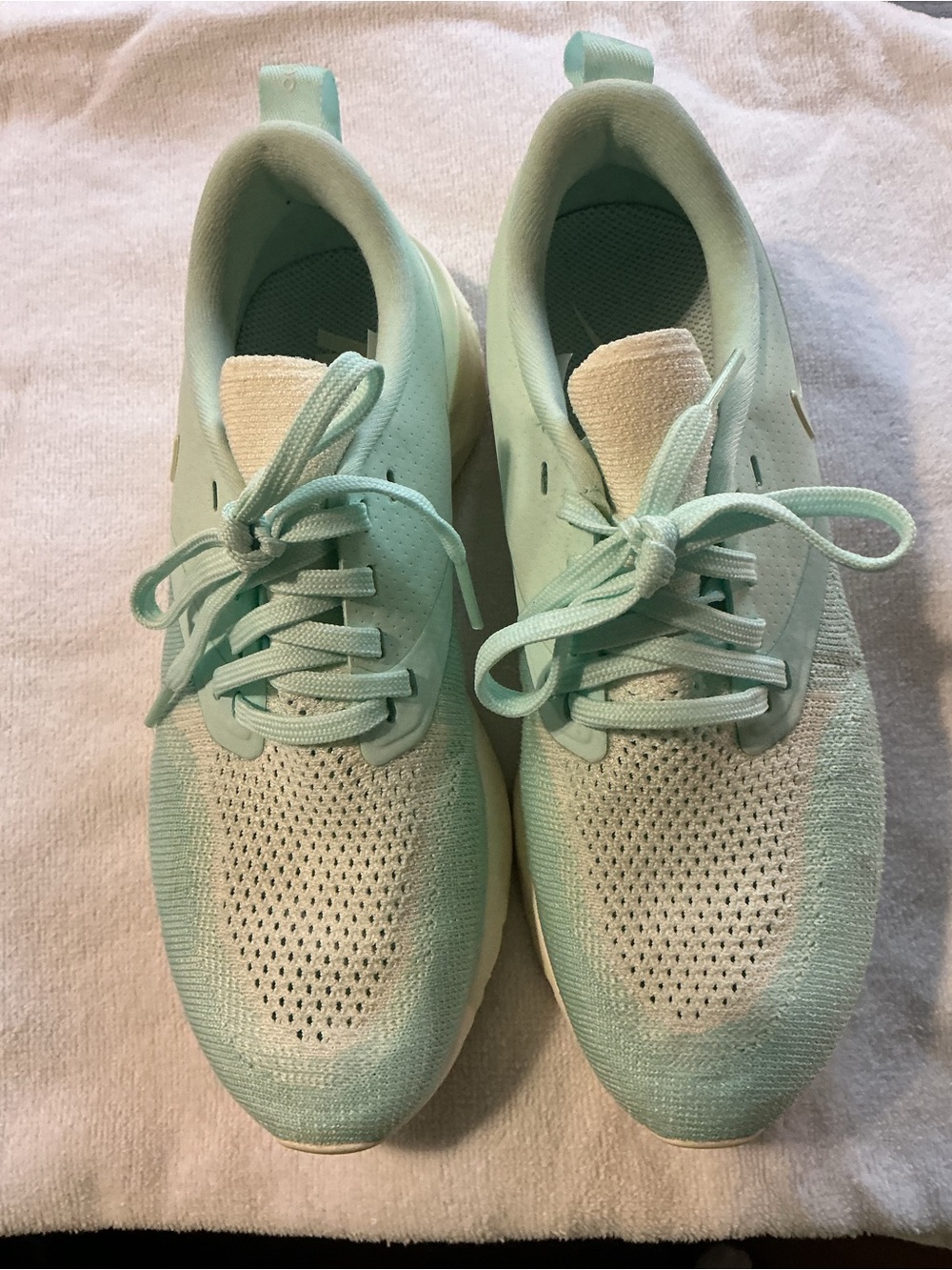 Nike Women's Mint Green Knit Running Sneakers